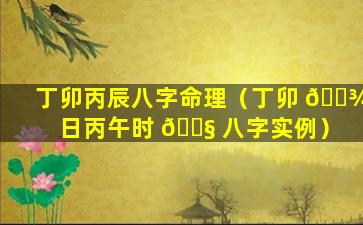丁卯丙辰八字命理（丁卯 🌾 日丙午时 🐧 八字实例）